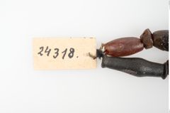 Foto von Perlenkette (NHMW-PRAE-024318)